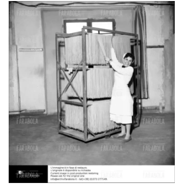 Stabilimento Pasta Agnesi, 1955 - Sito web o socia
