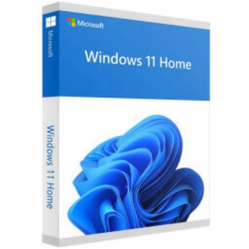 Microsoft Windows 11 Home ENG Intl USB FPP Retail 