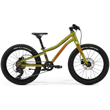 Velosipēds Merida Matts J.20+ I3 fall green(red/bl