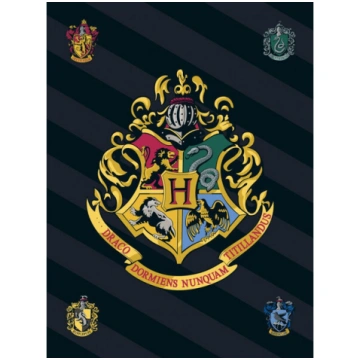 Bērnu pleds Harry Potter, 100x140 cm Wizarding Wor