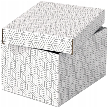 Esselte Esselte 628280, Storage box, White, Rectan