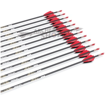 SANLIDA HERO 10 TARGET COMPOUND CARBON ARROWS