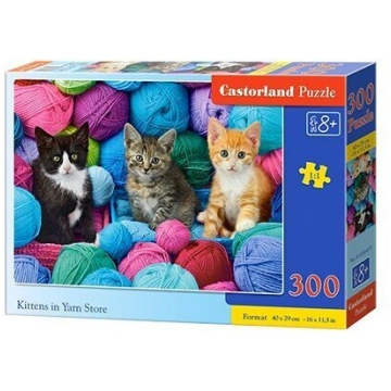 Puzzle 300 gab Castorland