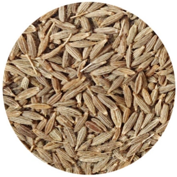 Kumins - vesels (romiešu ķimenes), Cumin Seeds Who