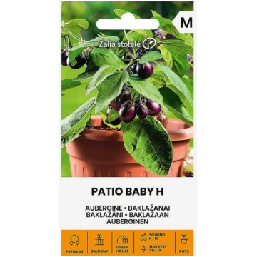 Baklažāni patio baby h Žalia stotelė
