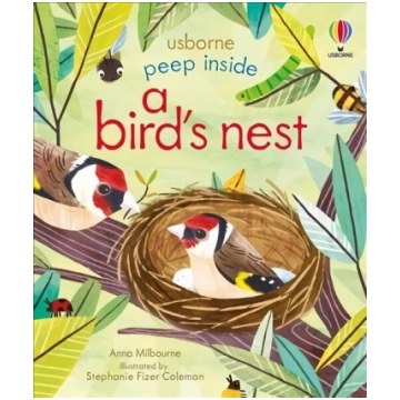 Peep Inside a Bird"s Nest